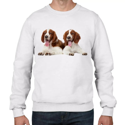 Welsh Springer Spaniel Puppies Men's Sweatshirt Jumper L