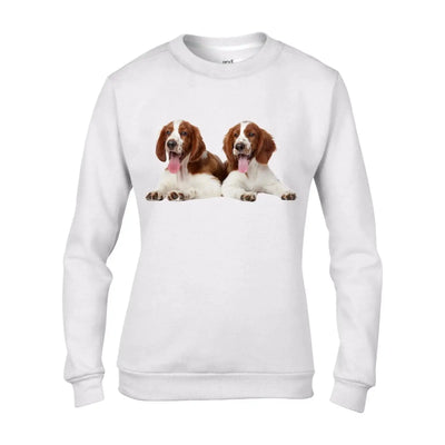 Welsh Springer Spaniel Puppies Women's Sweatshirt Jumper XXL