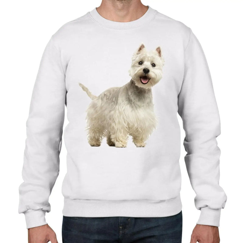 West Highland Terrier Dogs Animals Men&